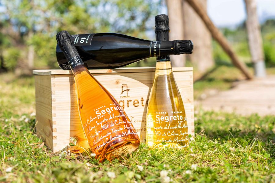 Selezione di vini e spumanti Tenuta Mariani, tra cui Segreto e SabbiaMare, esposta su cassette di legno all’aperto.