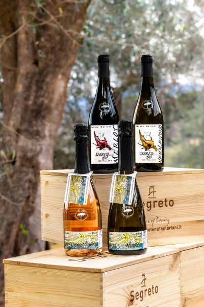 Selezione di vini e spumanti Tenuta Mariani, tra cui Segreto e SabbiaMare, esposta su cassette di legno all’aperto.