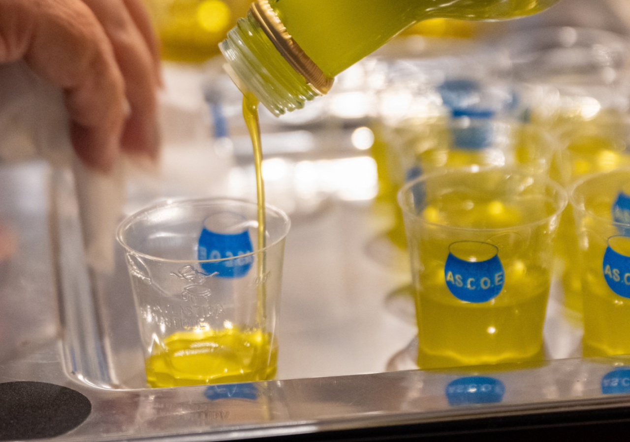 Primo piano di olio extravergine di oliva versato in bicchieri da degustazione trasparenti con logo ASCOE, durante una sessione di assaggio.