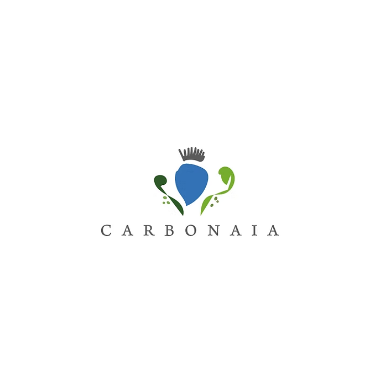 Veduta panoramica di una tenuta immersa nel verde, con uliveti, alberi ad alto fusto e piccoli edifici rustici tra i sentieri, sotto un cielo chiaro con nuvole leggere.