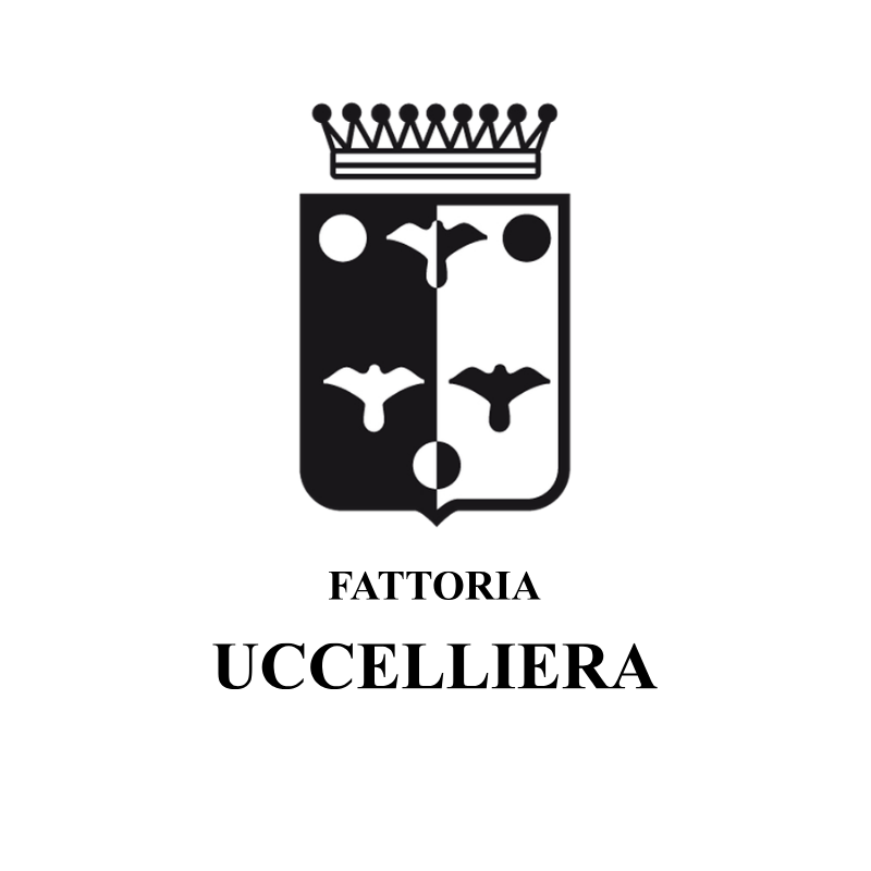 Veduta aerea della Fattoria Uccelliera, circondata da vigneti, oliveti, boschi e filari di cipressi sulle colline pisane.