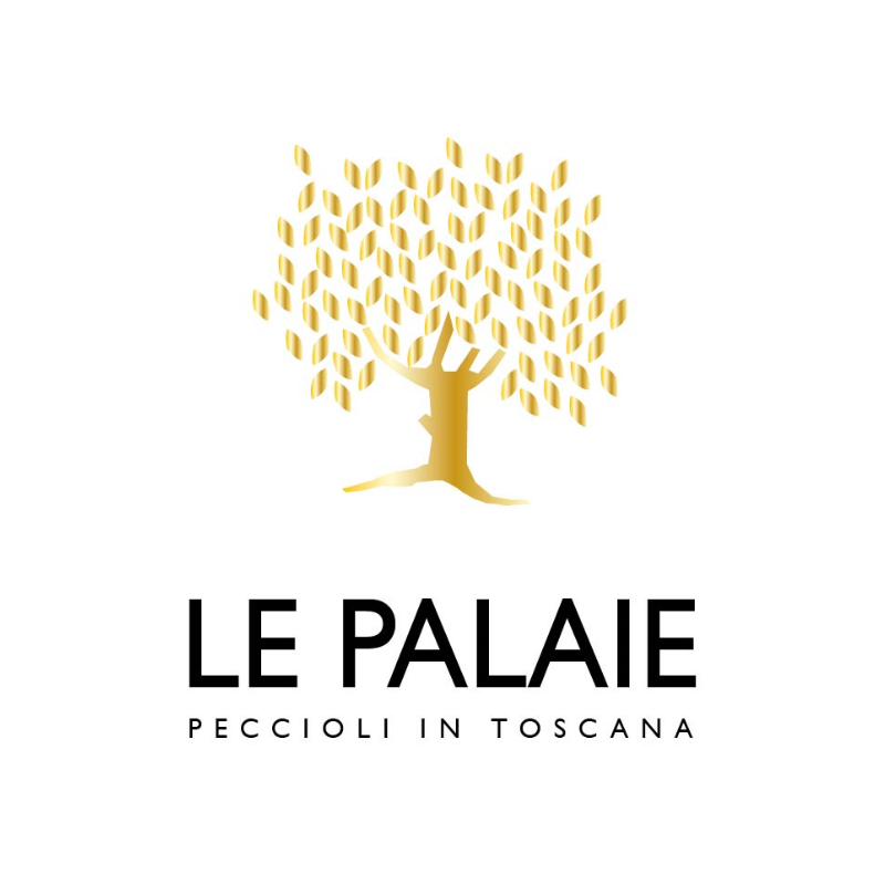 Veduta aerea della Tenuta Le Palaie, immersa nelle colline di Peccioli, tra vigneti, oliveti e filari di cipressi, con la cantina, l’agriturismo e la piscina circondati dal verde.