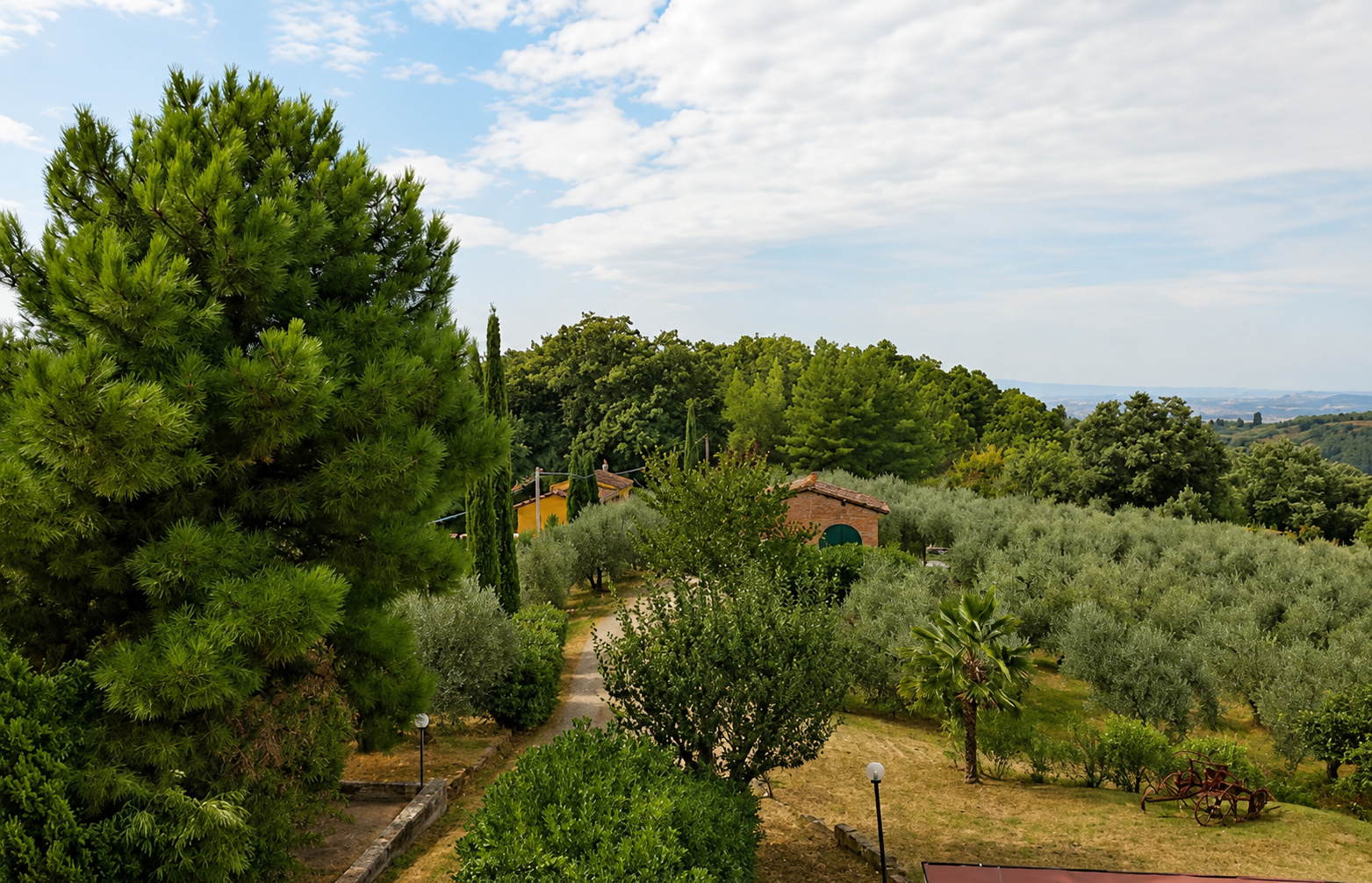 Veduta panoramica di una tenuta immersa nel verde, con uliveti, alberi ad alto fusto e piccoli edifici rustici tra i sentieri, sotto un cielo chiaro con nuvole leggere.