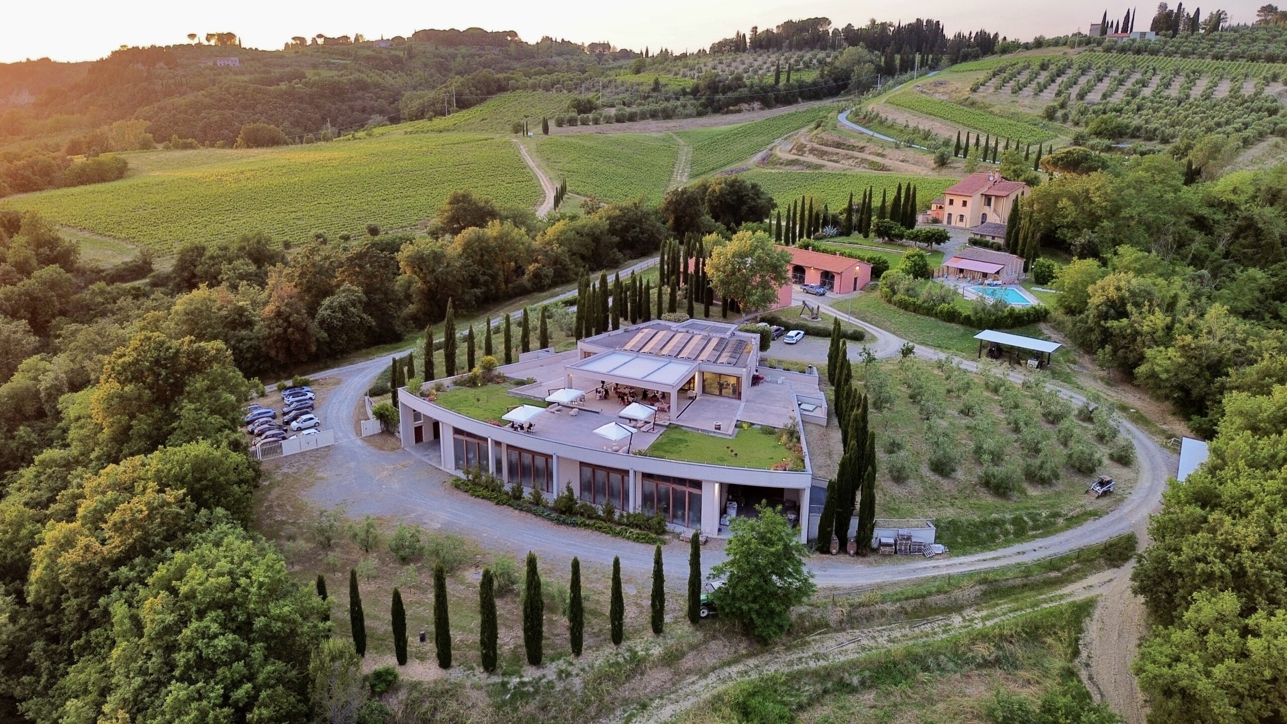Veduta aerea della Tenuta Le Palaie, immersa nelle colline di Peccioli, tra vigneti, oliveti e filari di cipressi, con la cantina, l’agriturismo e la piscina circondati dal verde.