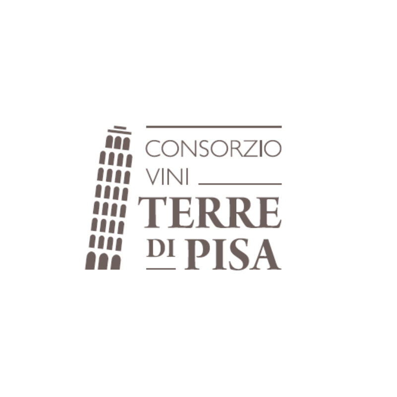 Vigneti sulle colline delle Terre di Pisa, con filari ordinati, vegetazione rigogliosa e casolari in lontananza sotto un cielo parzialmente nuvoloso
