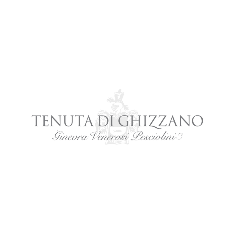 Veduta dall’alto della Tenuta di Ghizzano e del borgo circostante, con la villa, il giardino all’italiana, i tetti in cotto e le colline delle Terre di Pisa sullo sfondo.