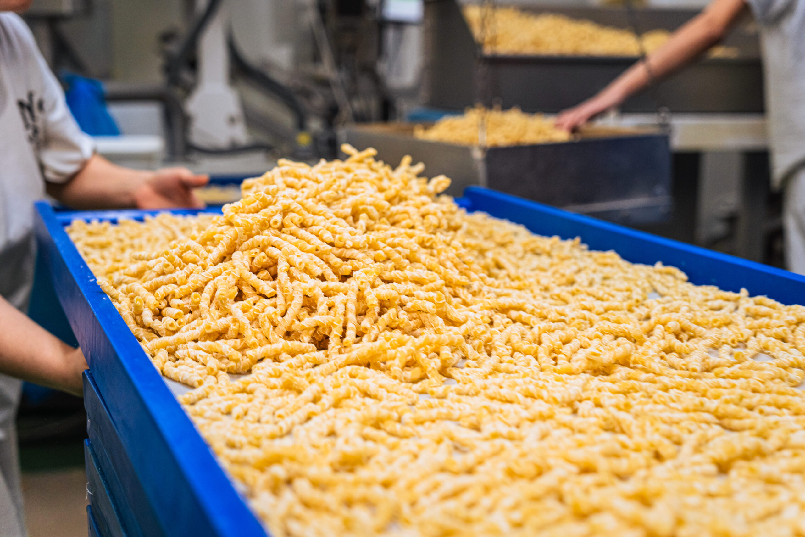 Pasta corta artigianale appena prodotta, raccolta in grandi contenitori blu all’interno del pastificio Morelli, con gli addetti al lavoro sullo sfondo.