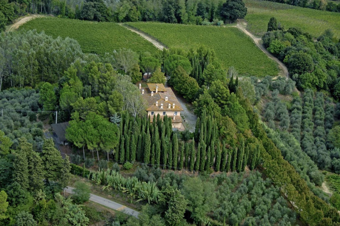 Veduta aerea della Fattoria Uccelliera, circondata da vigneti, oliveti, boschi e filari di cipressi sulle colline pisane.