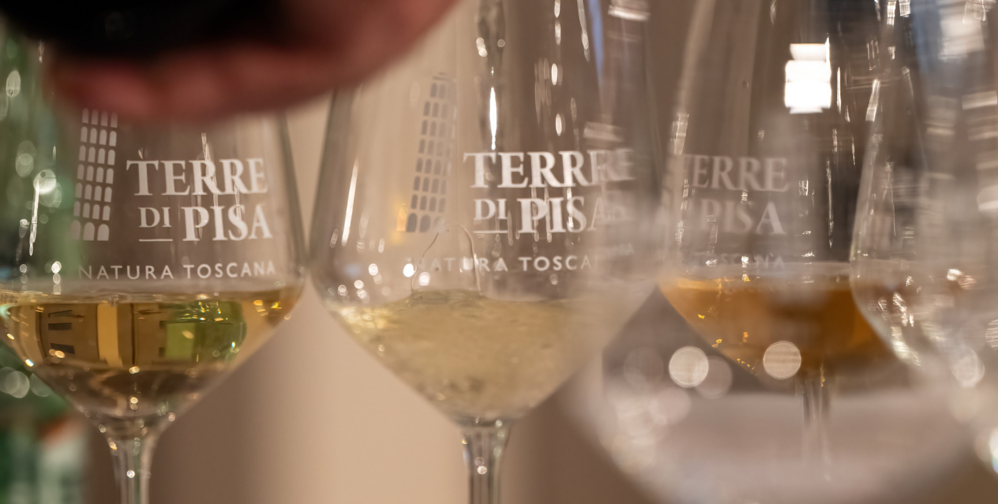 Calici da degustazione con il logo Terre di Pisa, alcuni contenenti vino bianco e vini ambrati, ripresi in primo piano durante una masterclass enologica.