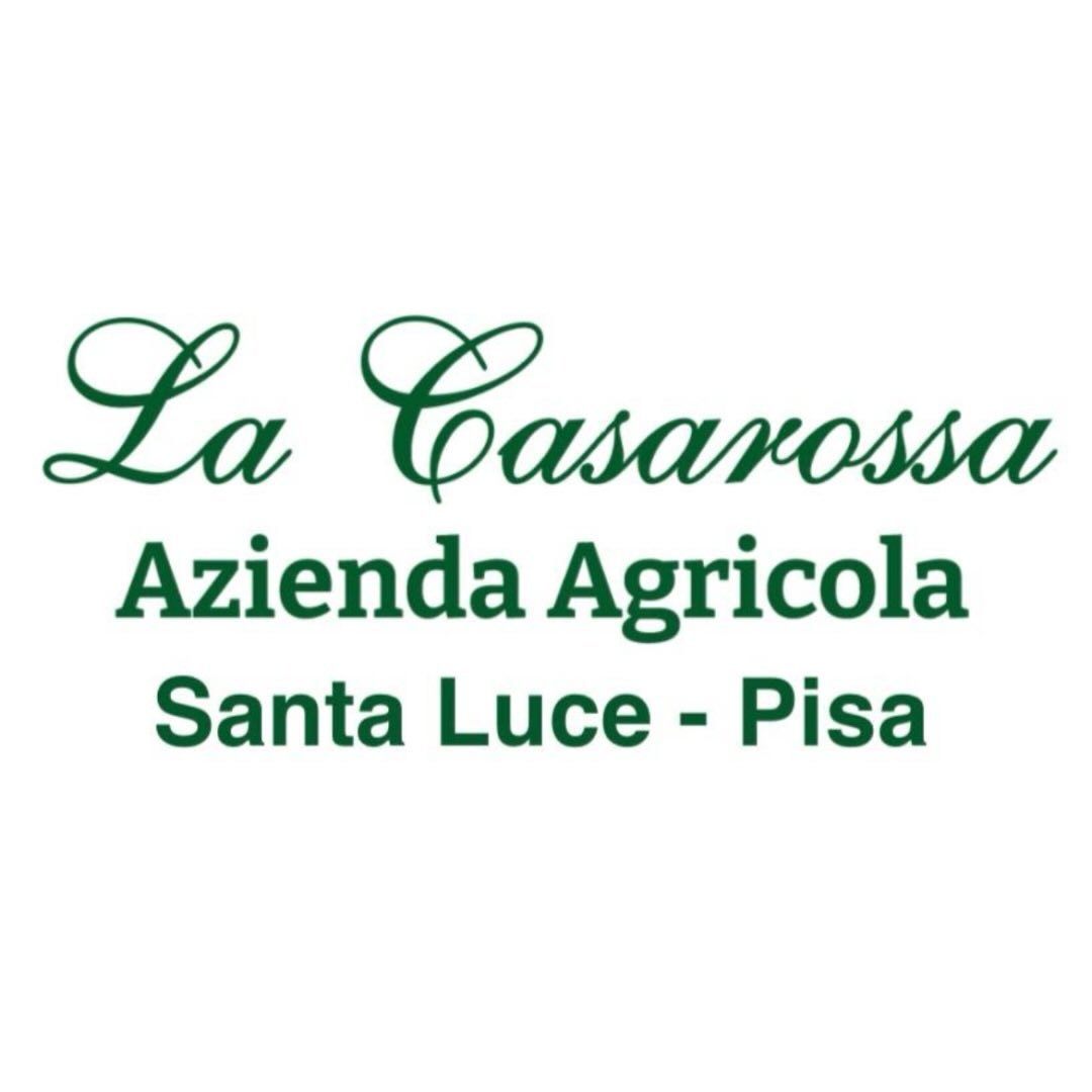 Agricoltore al lavoro tra i rami di un ulivo, in un oliveto sulle colline toscane, con campi e rilievi sullo sfondo sotto un ampio cielo azzurro.