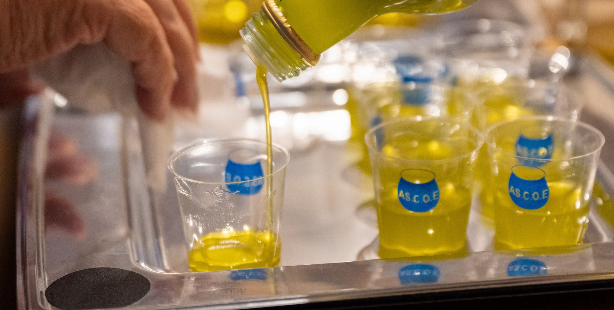 Primo piano di olio extravergine di oliva versato in bicchieri da degustazione trasparenti con logo ASCOE, durante una sessione di assaggio.