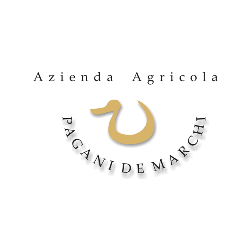 Bottiglie dei vini Pagani de Marchi esposte su un tavolo in legno all’interno della cantina, con pareti in pietra e antiche attrezzature da vinificazione sullo sfondo.