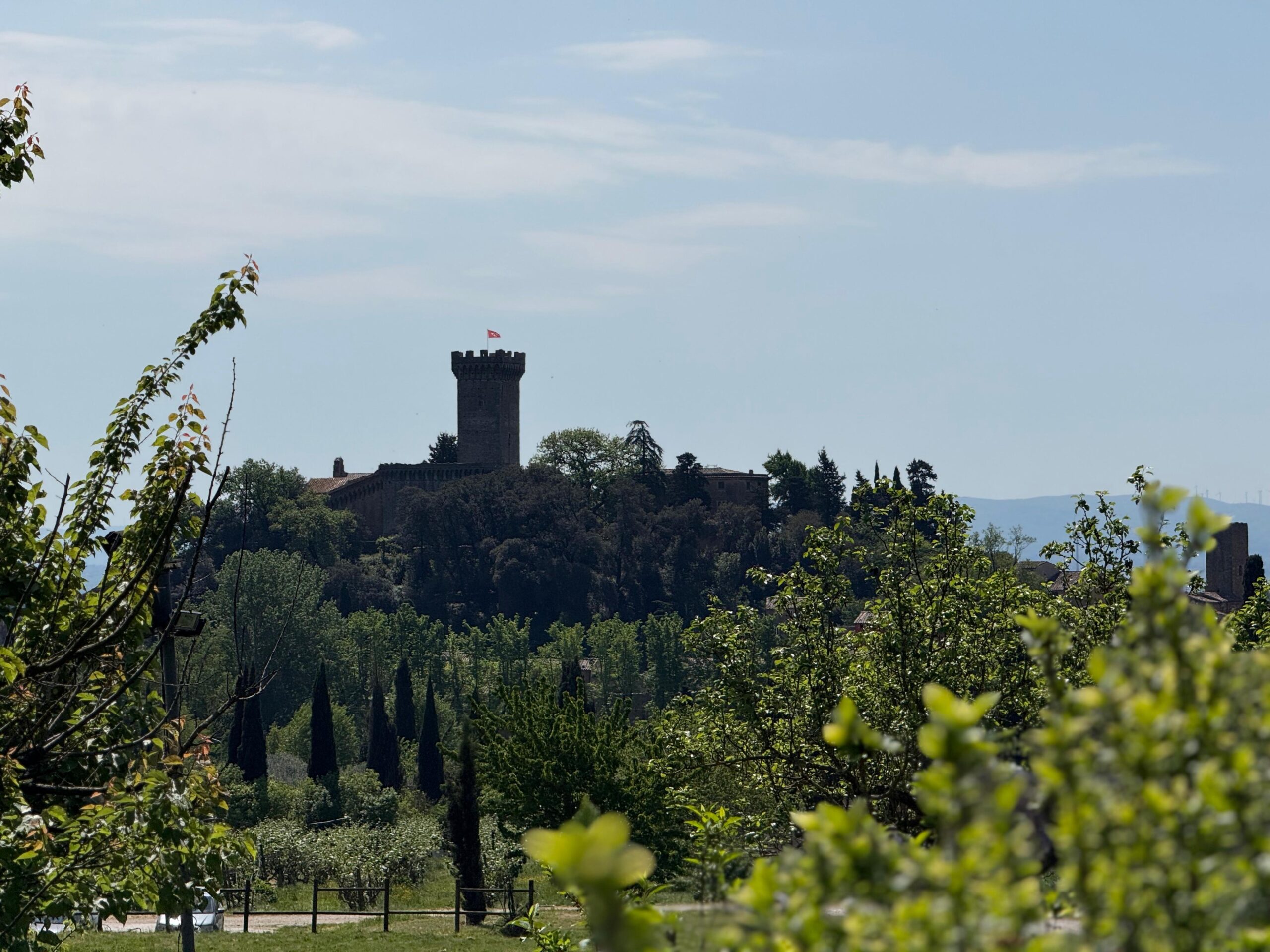 Vista sulla Rocca del Brunelleschi dal Frantoio di Vicopisano