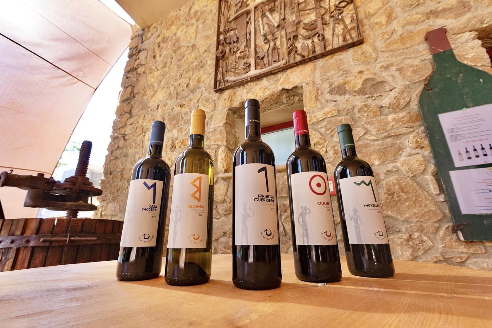 Bottiglie dei vini Pagani de Marchi esposte su un tavolo in legno all’interno della cantina, con pareti in pietra e antiche attrezzature da vinificazione sullo sfondo.