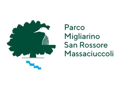 Fiori gialli della vegetazione costiera in primo piano, con spiaggia sabbiosa e mare azzurro sullo sfondo.