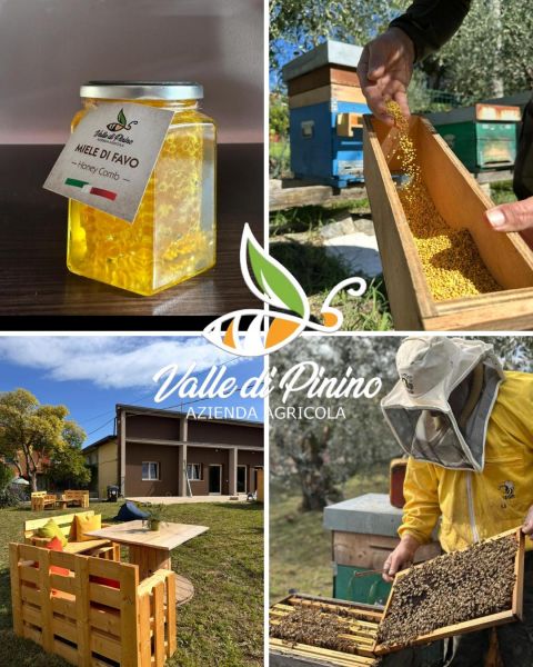 Interno di Mellis Degustazioni con tavoli, sedute verdi e scaffali a parete che espongono mieli e specialità dell’Azienda Agricola Valle di Pinino.