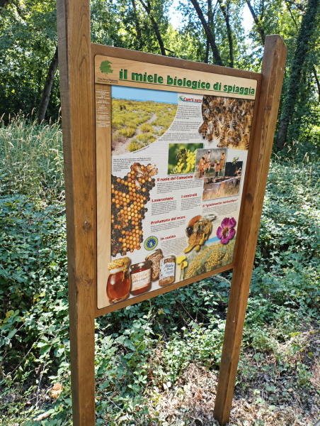 Pannello informativo sul miele biologico di spiaggia, collocato tra la vegetazione del Parco di Migliarino, San Rossore e Massaciuccoli.