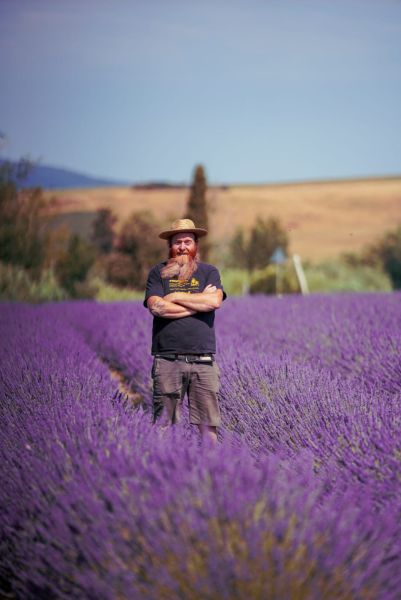 Uomo con barba e cappello di paglia in piedi tra i filari di lavanda in fiore, con le colline toscane sullo sfondo.