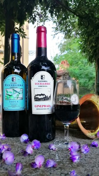 Grandi serbatoi di vinificazione della Fattoria Uccelliera, disposti in fila all’interno della cantina e dotati di rubinetti e indicatori di capacità.