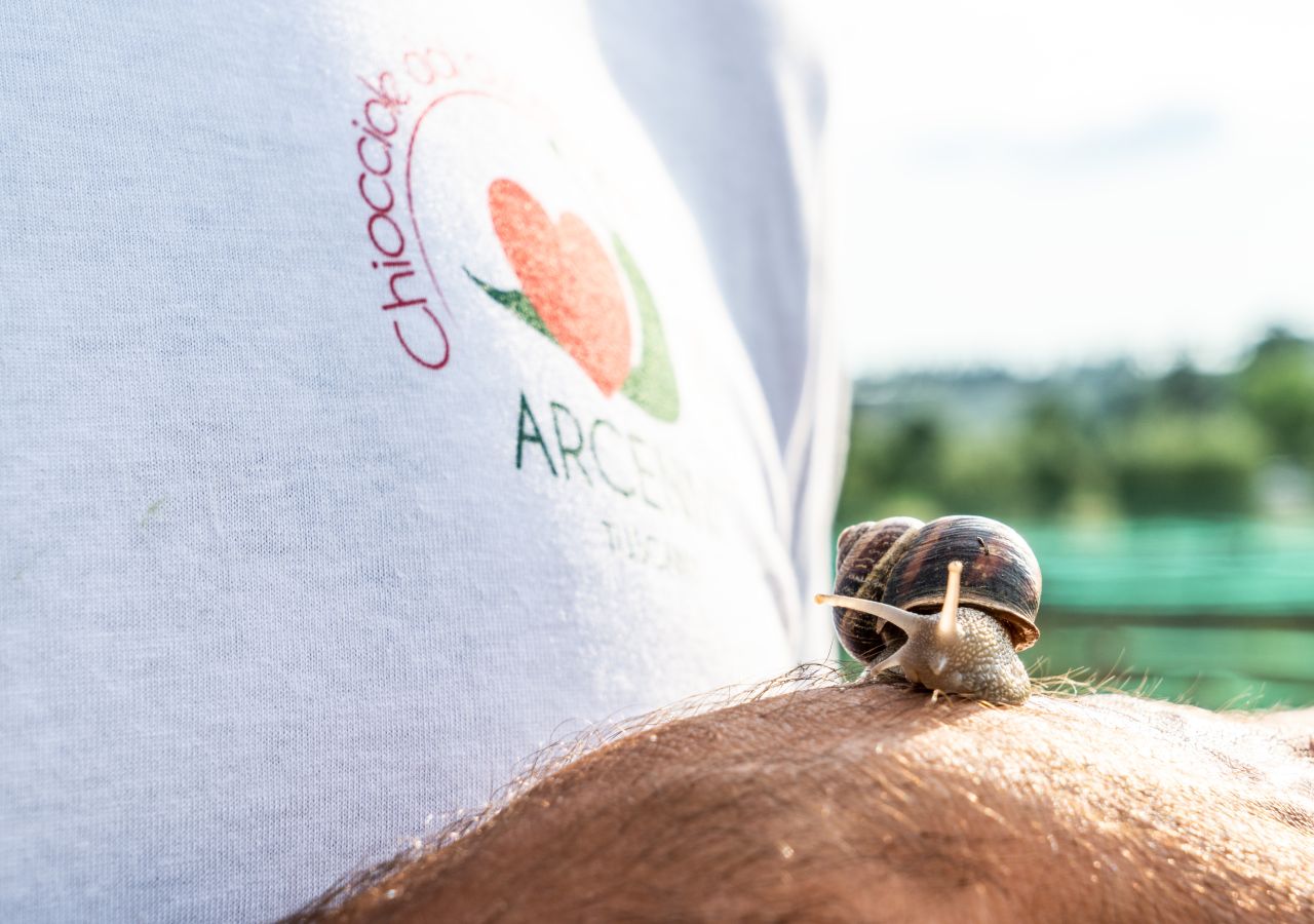 Primo piano di una chiocciola sul braccio di una persona che indossa una maglietta bianca con il logo Arcenny Tuscany, sullo sfondo di un allevamento all’aperto sfocato.