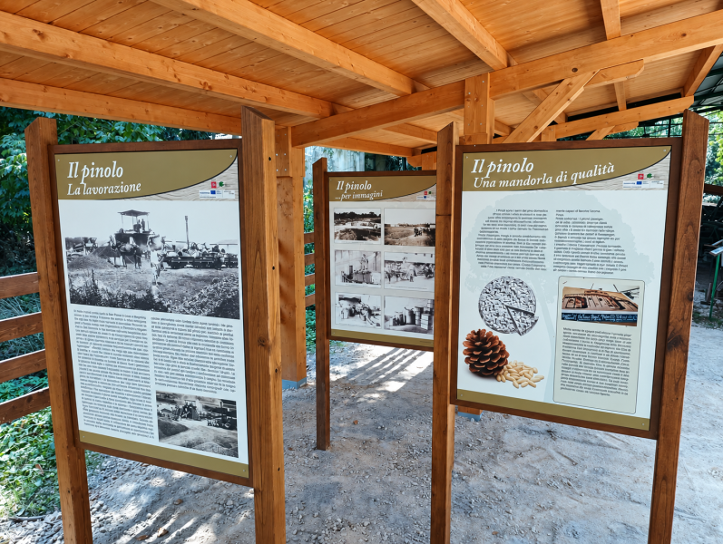 Spazio espositivo coperto in legno con tre pannelli informativi dedicati al pinolo, alla sua lavorazione e alla storia della raccolta.