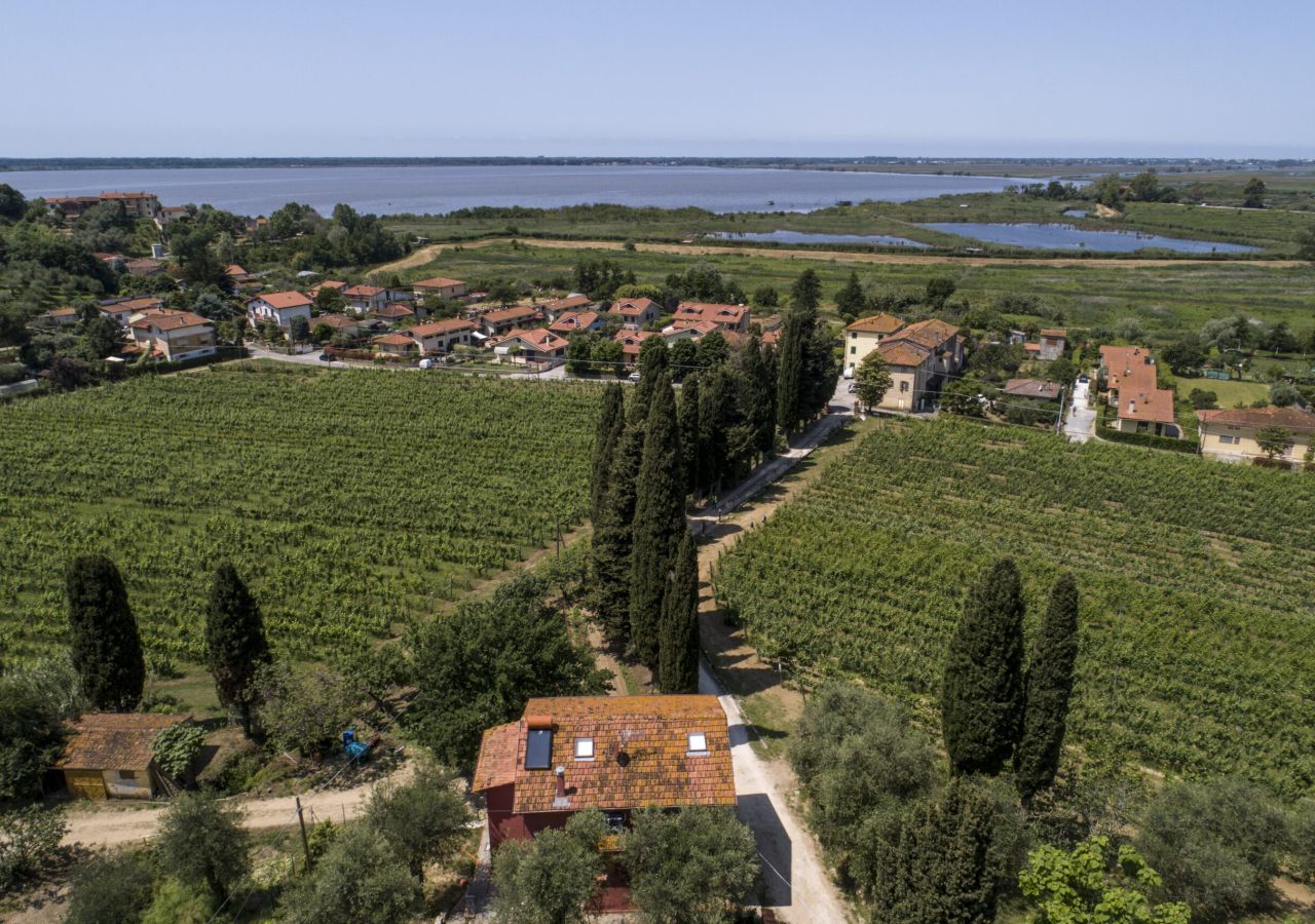 Veduta aerea dei vigneti di Tenuta Mariani, attraversati da un viale di cipressi e circondati da abitazioni e vegetazione, con il Lago di Massaciuccoli sullo sfondo.