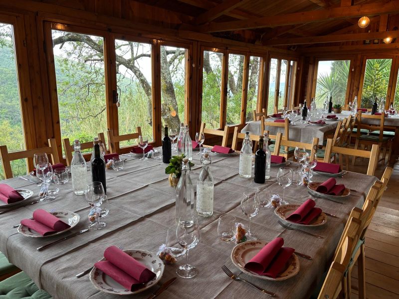 Sala da pranzo in legno con ampie vetrate affacciate sul verde, tavoli apparecchiati con piatti, calici, bottiglie e tovaglioli bordeaux.