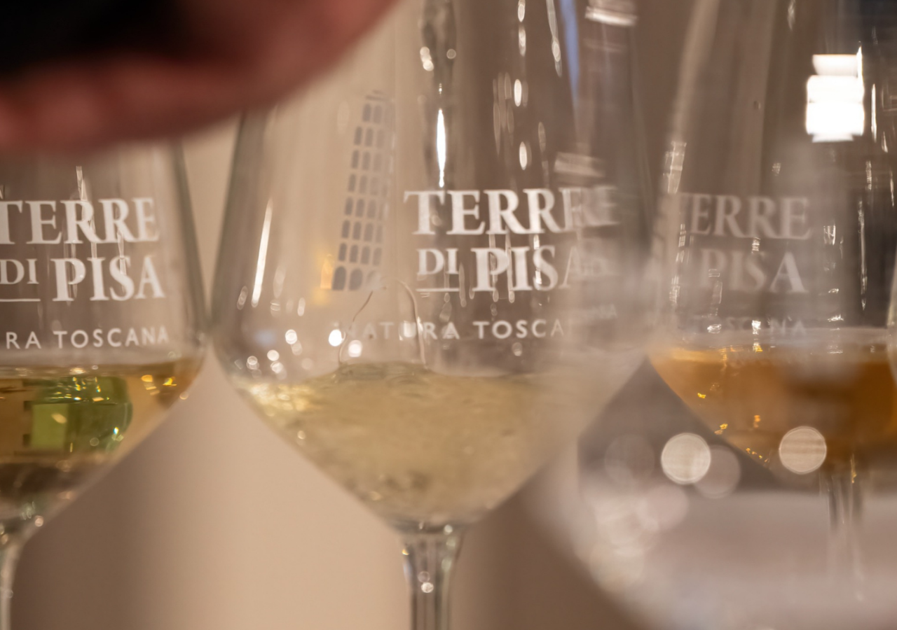 Calici da degustazione con il logo Terre di Pisa, alcuni contenenti vino bianco e vini ambrati, ripresi in primo piano durante una masterclass enologica.