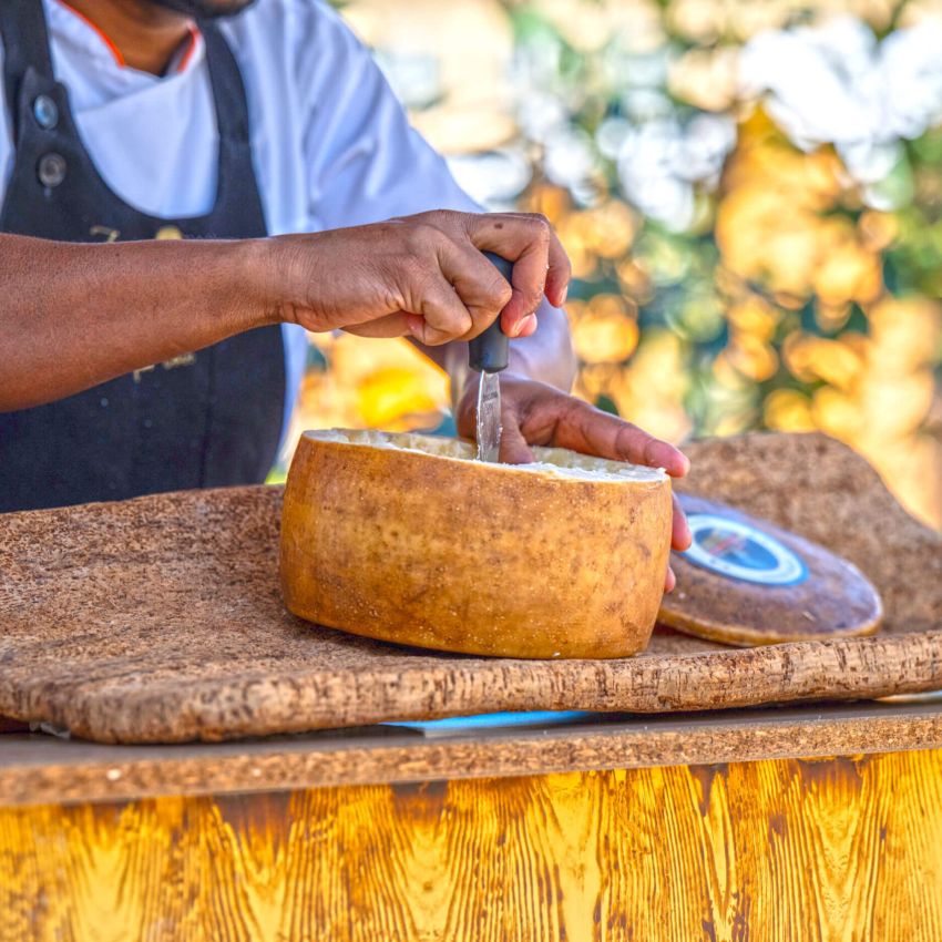 formaggio al Pisa Food & Wine Festival