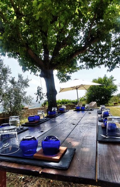 Tavolo in legno apparecchiato all’aperto per una degustazione, con bicchieri, piccoli contenitori blu e tovagliette, all’ombra di un grande albero.