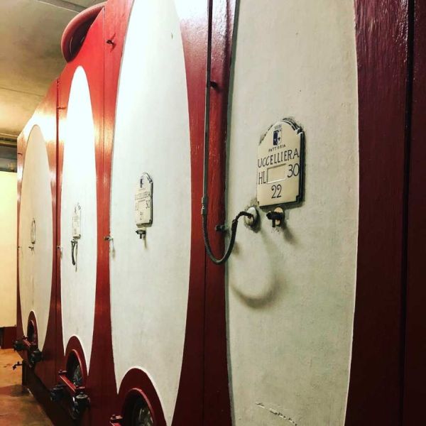 Grandi serbatoi di vinificazione della Fattoria Uccelliera, disposti in fila all’interno della cantina e dotati di rubinetti e indicatori di capacità.