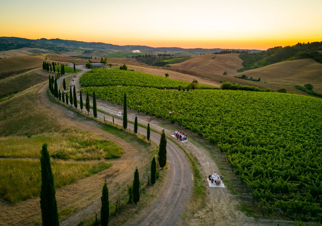 Veduta aerea al tramonto di un vigneto sulle colline toscane, attraversato da una strada sterrata fiancheggiata da cipressi, con tavoli apparecchiati tra i filari per una cena all’aperto.