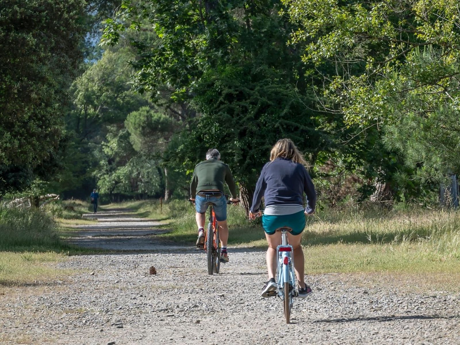 Due persone in bicicletta nel parco di san rossore