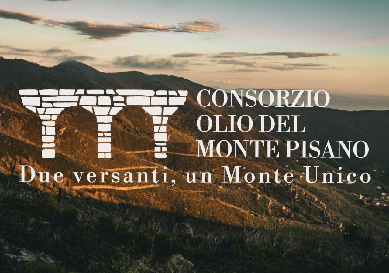Logo verde del Consorzio Olio del Monte Pisano, con tre colonne stilizzate in pietra affiancate dal nome del Consorzio.