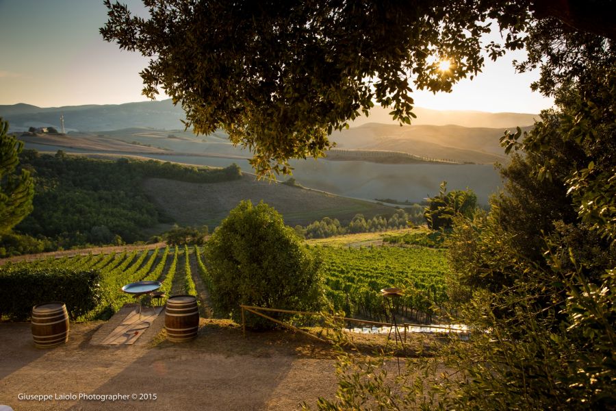 Vigneti di Pieve de’ Pitti al tramonto, con tavoli e botti in primo piano e le colline toscane illuminate dalla luce dorata sullo sfondo.