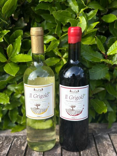 Due bottiglie di vino biologico “Il Grigolo”, bianco e rosso Toscano IGT, esposte su un tavolo di legno davanti a una siepe verde.