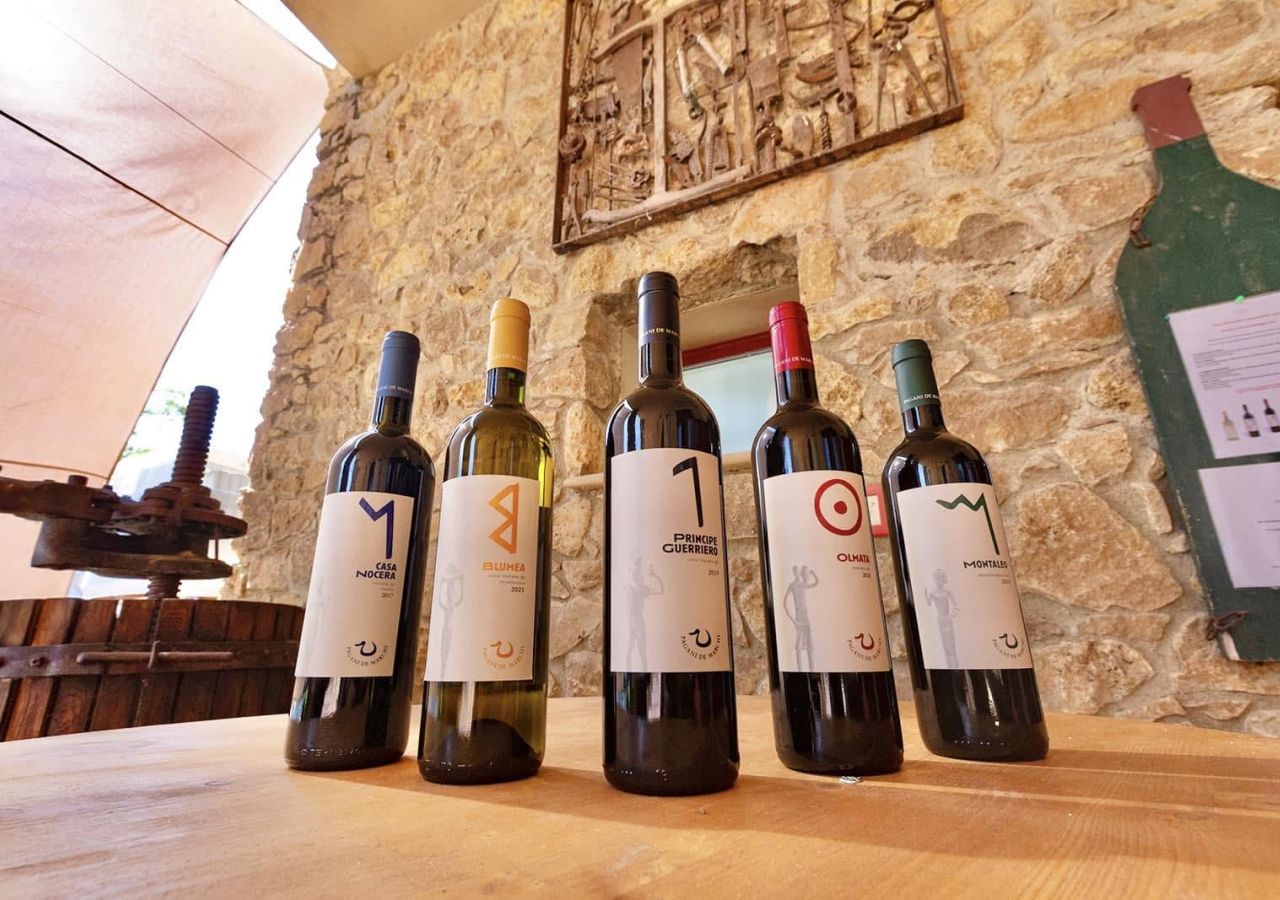 Bottiglie dei vini Pagani de Marchi esposte su un tavolo in legno all’interno della cantina, con pareti in pietra e antiche attrezzature da vinificazione sullo sfondo.