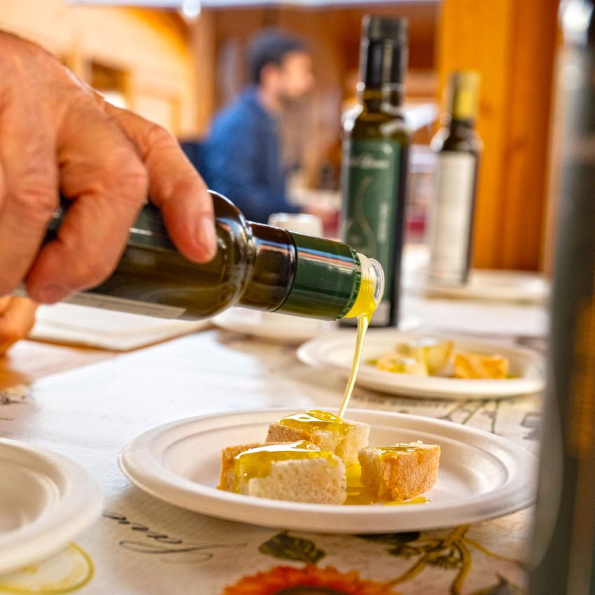 Pisa Food & wine Festival degustazione Olio